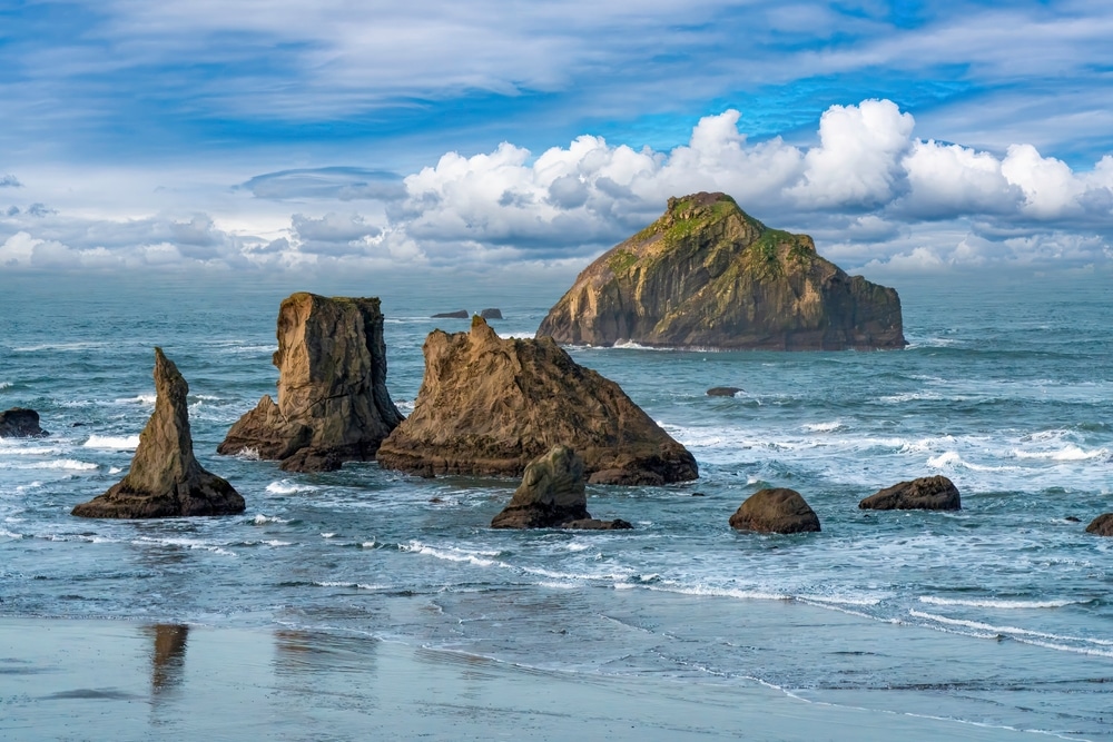 Rocks offshore near Bandon are the best spot for birdwatching on the Southern Oregon Coast