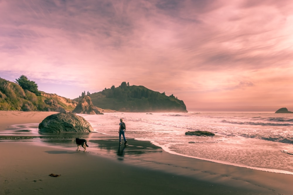 A person walking their dog on the beach at sunset near their pet friendly hotels on the oregon coast.