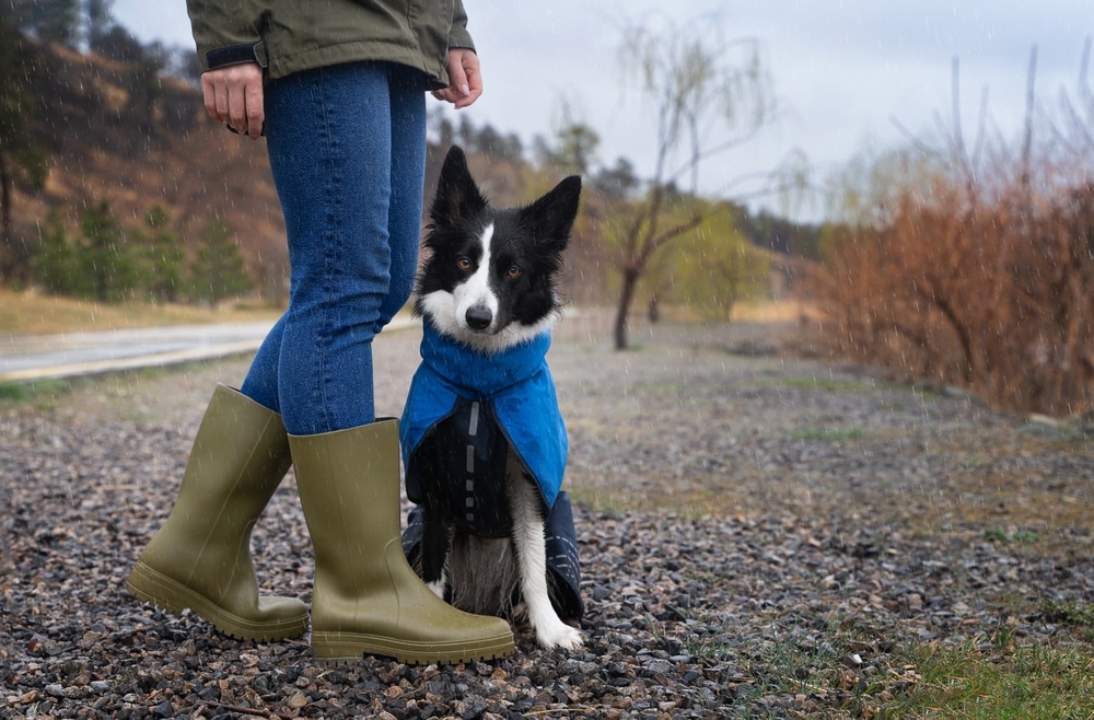 A border collie and its companion enjoy a walk along the seacoast in Bandon, Oregon, while staying at the best pet friendly hotels on the oregon coast