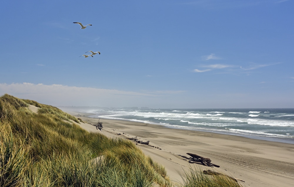 The Best Oregon Coast State Parks Near Bandon 1 Windswept beaches along Bullards Beach, one of the best Oregon Coast State Parks near Bandon