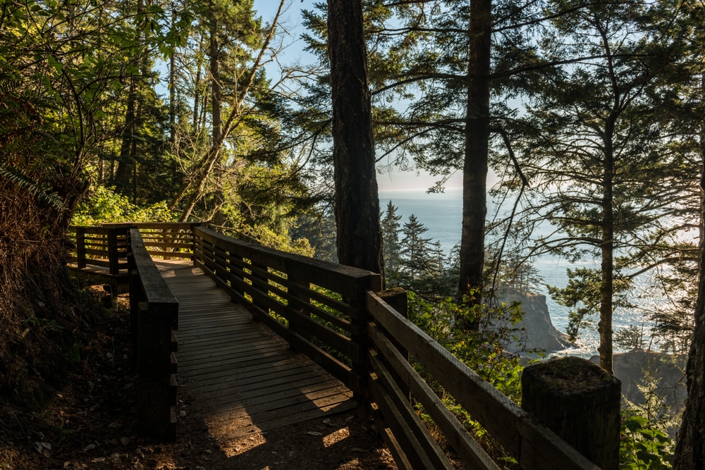 Hike the Oregon Coast Trail This Summer 4 Scenic view through the years over the coastline on the Oregon Coast Trail near Bandon
