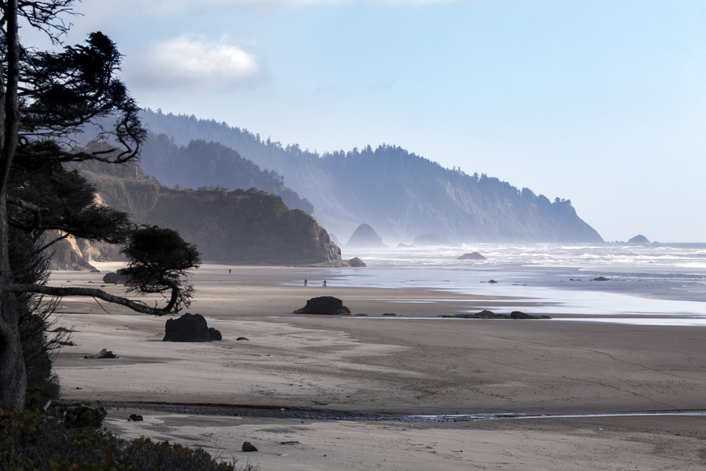 Coastal Mountain Biking in Bandon, Oregon 1 Coastal landscapes to explore while mountain biking in Oregon near Bandon