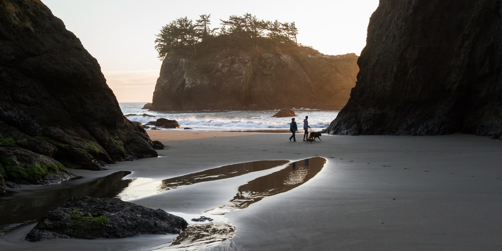 The Best Fall Getaway on the Oregon Coast 8 Couple walking a dog on the beach - one of the best things to do in Southern Oregon
