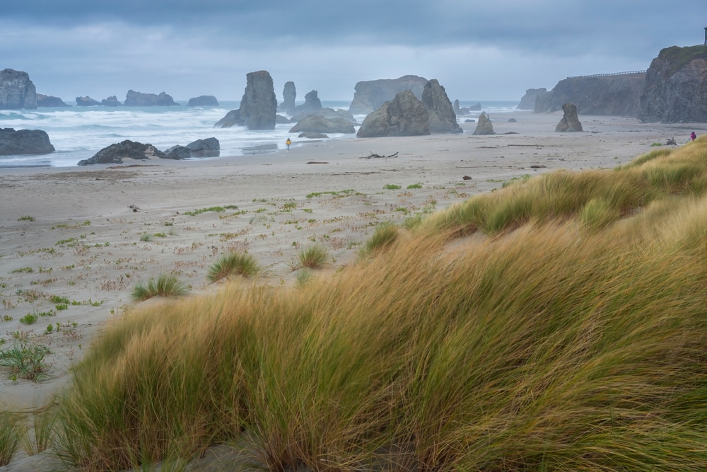 Things to Do in Bandon Oregon This Fall 1 Windswept beaches and dunes, one of the best things to do in Bandon Oregon in the fall