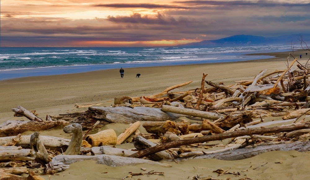 Winter Walks on Bandon Beach 4 A man and his dog take a winter walk on Bandon Beach in South OR