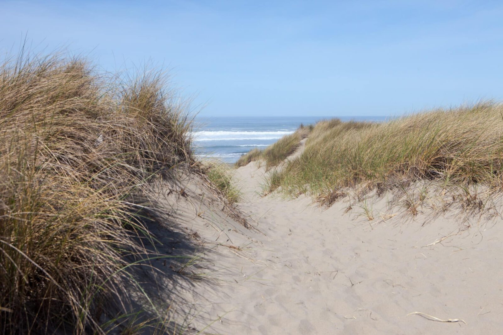 Private beach path at our dog friendly hotel in Bandon Oregon.